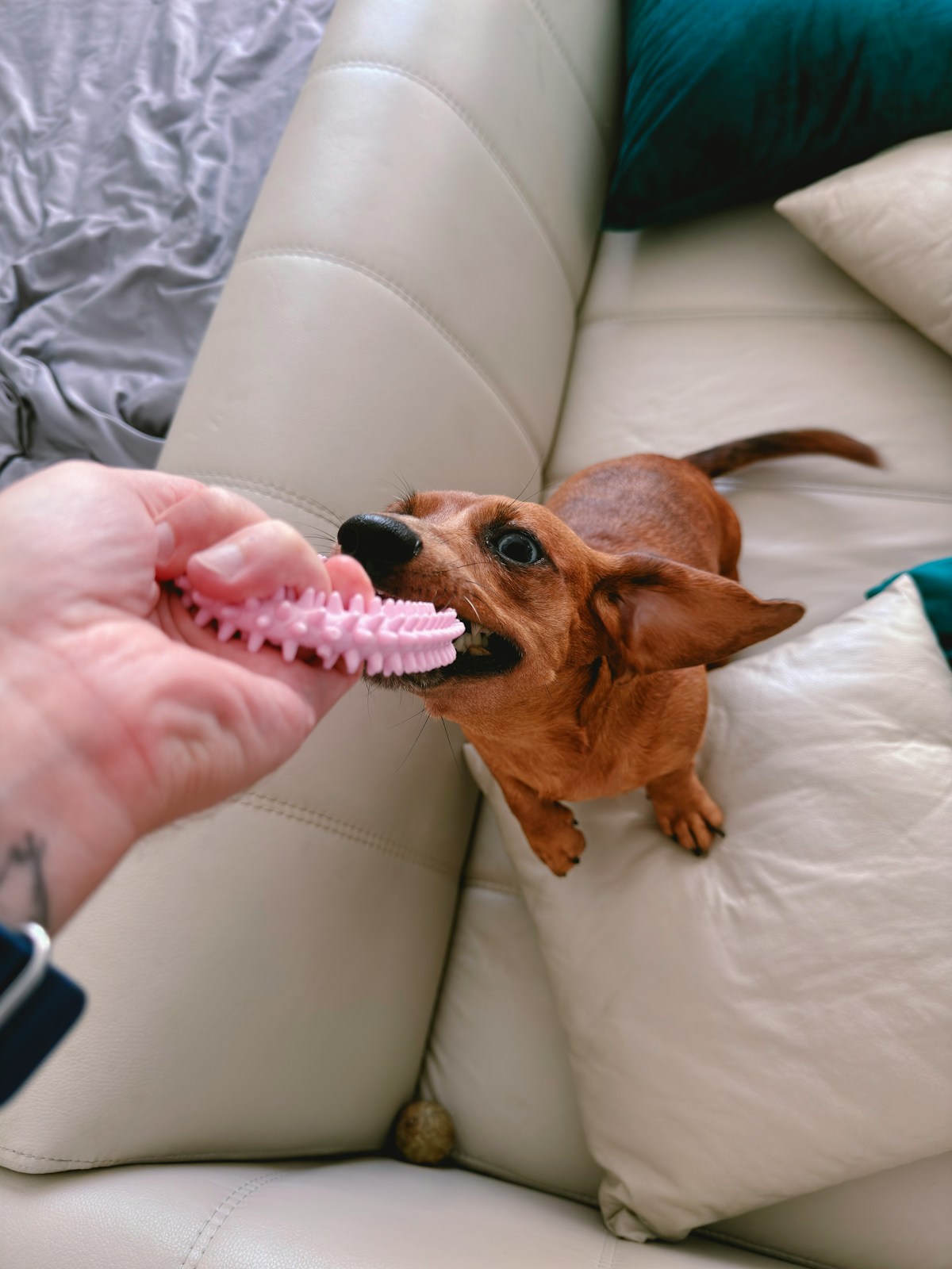 Play & Fun