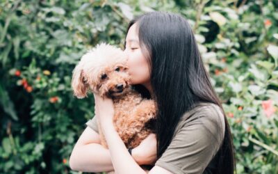 Adopt a Pet in Hong Kong: Start Your Heartwarming Journey